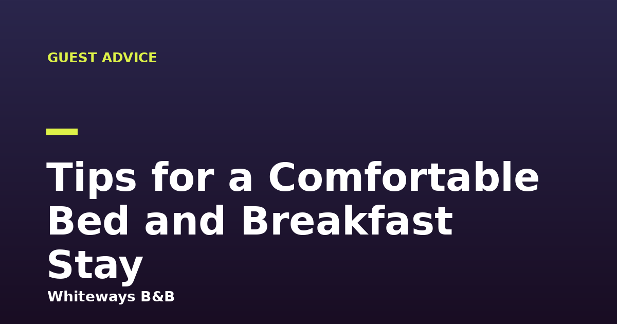 Tips for a Comfortable Bed and Breakfast Stay